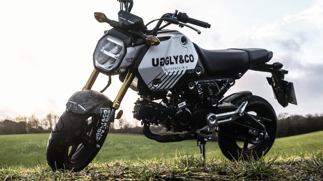 The BEST Paddock Scooter?!