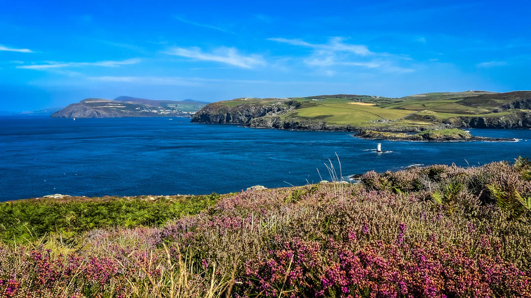 The Isle of Man TT Boosting Our Tourism Economy