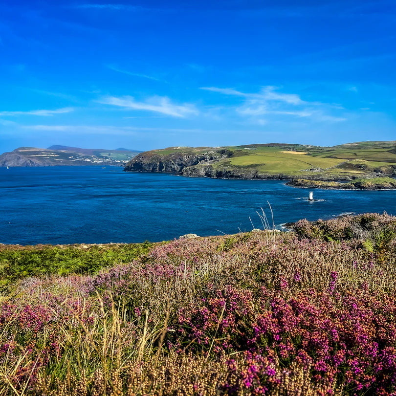 The Isle of Man TT Boosting Our Tourism Economy