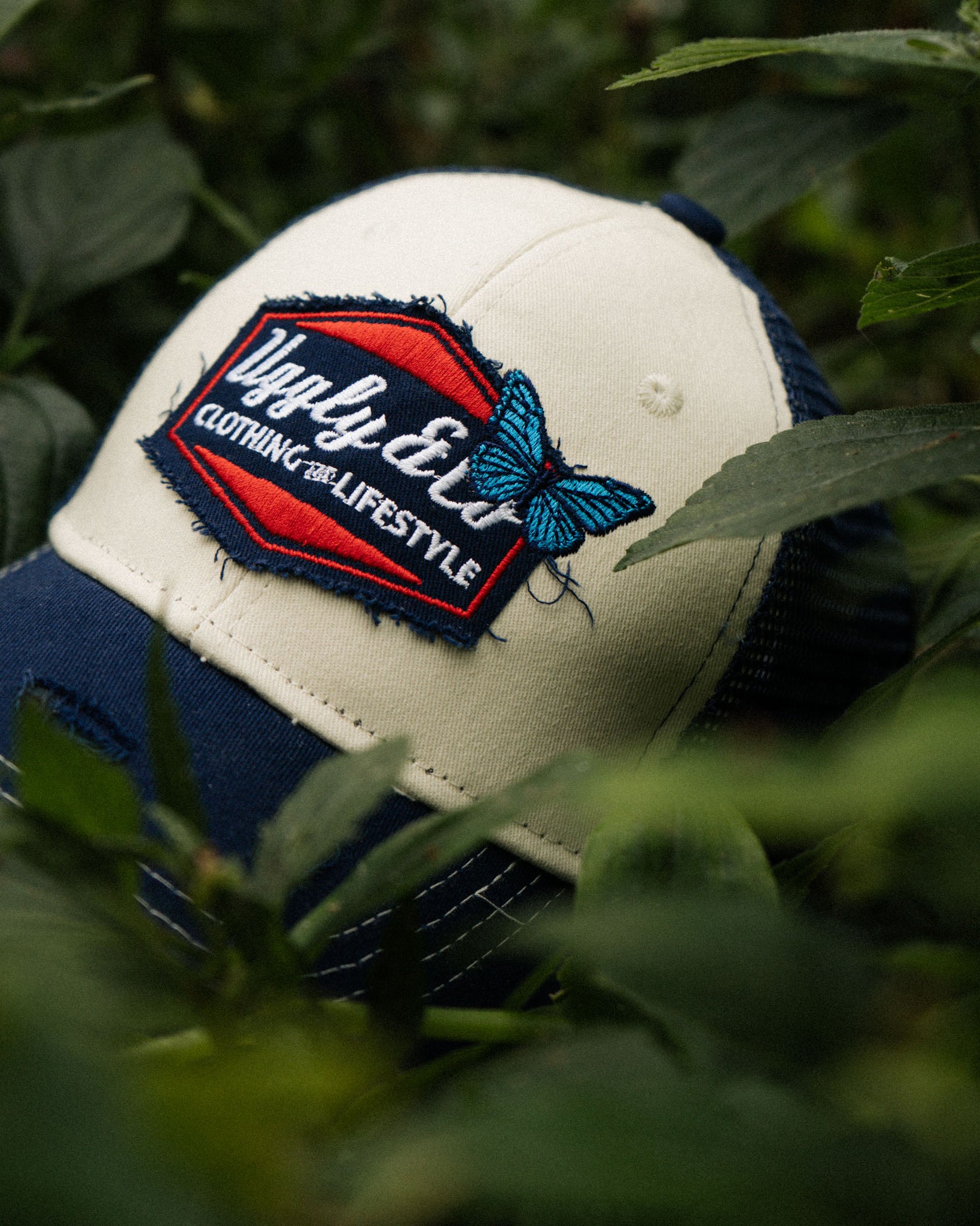 Close up of hat in forest with butterfly