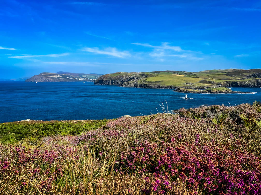 The Isle of Man TT Boosting Our Tourism Economy