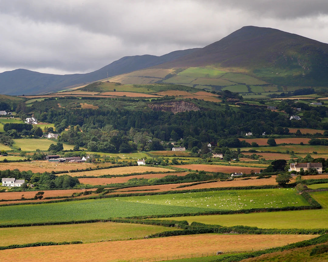 Isle of Man TT Embracing Sustainability and Green Initiatives