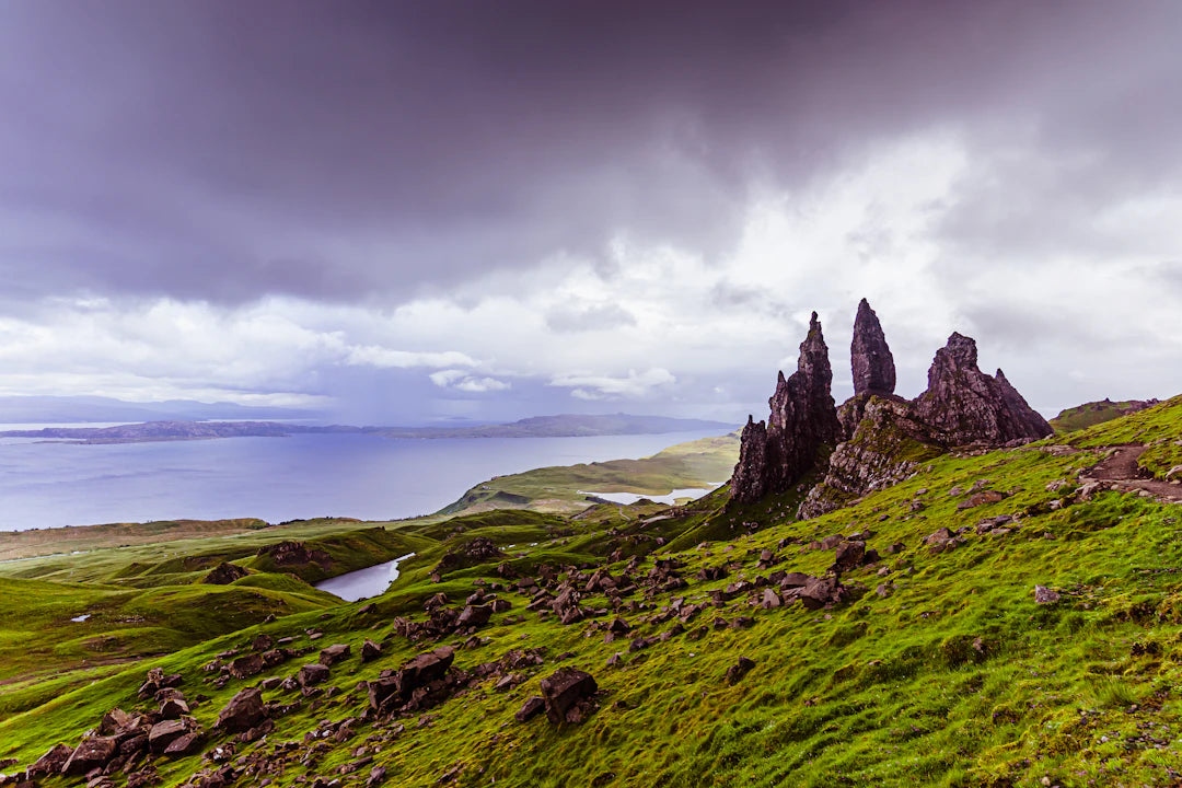 The Global Magnetism of the Isle of Man TT