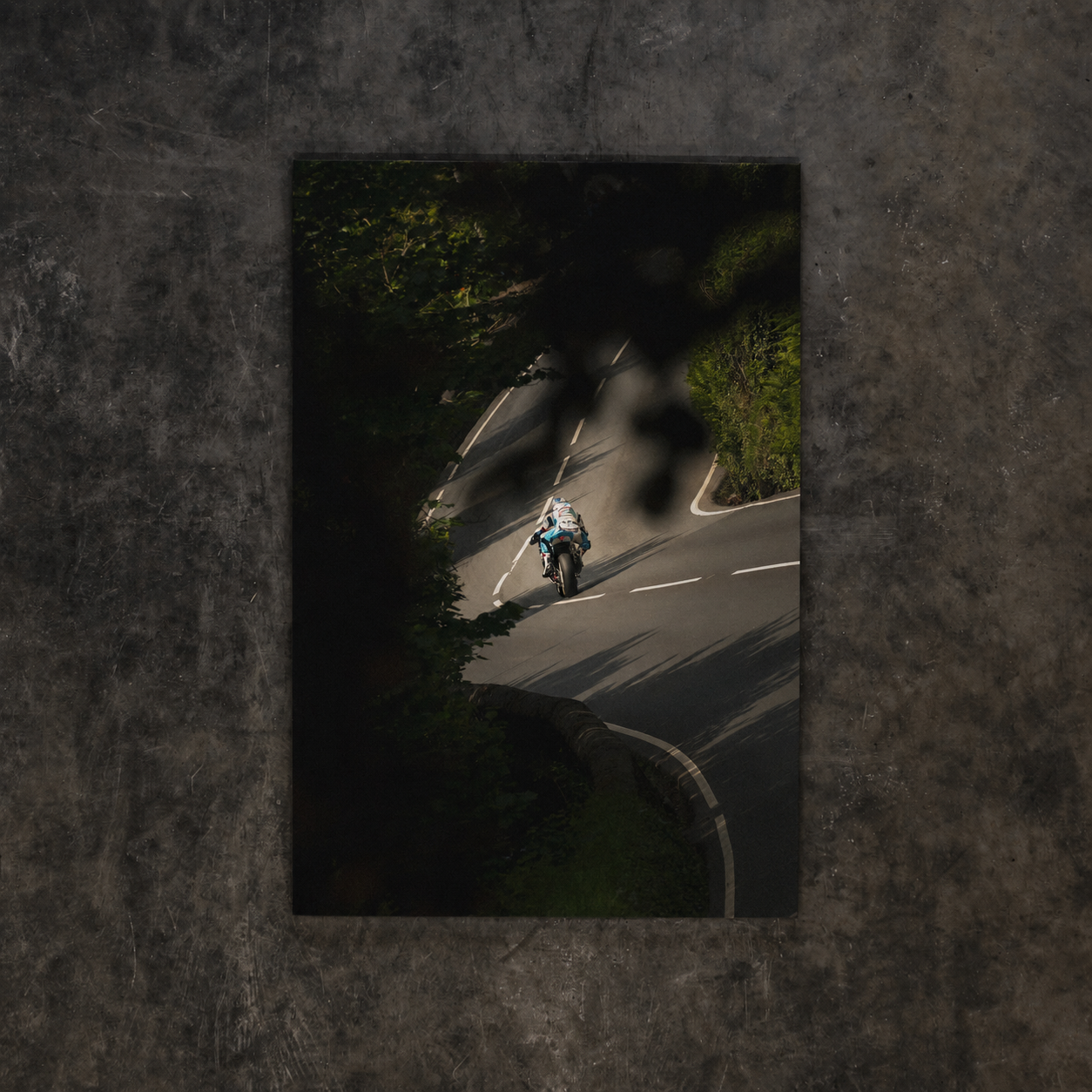 Josh Brookes riding the Uggly & Co race bike through a shadowed tree lined section of the Isle of Man TT Mountain Course.