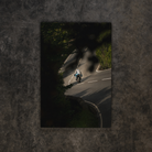 Josh Brookes riding the Uggly & Co race bike through a shadowed tree lined section of the Isle of Man TT Mountain Course.