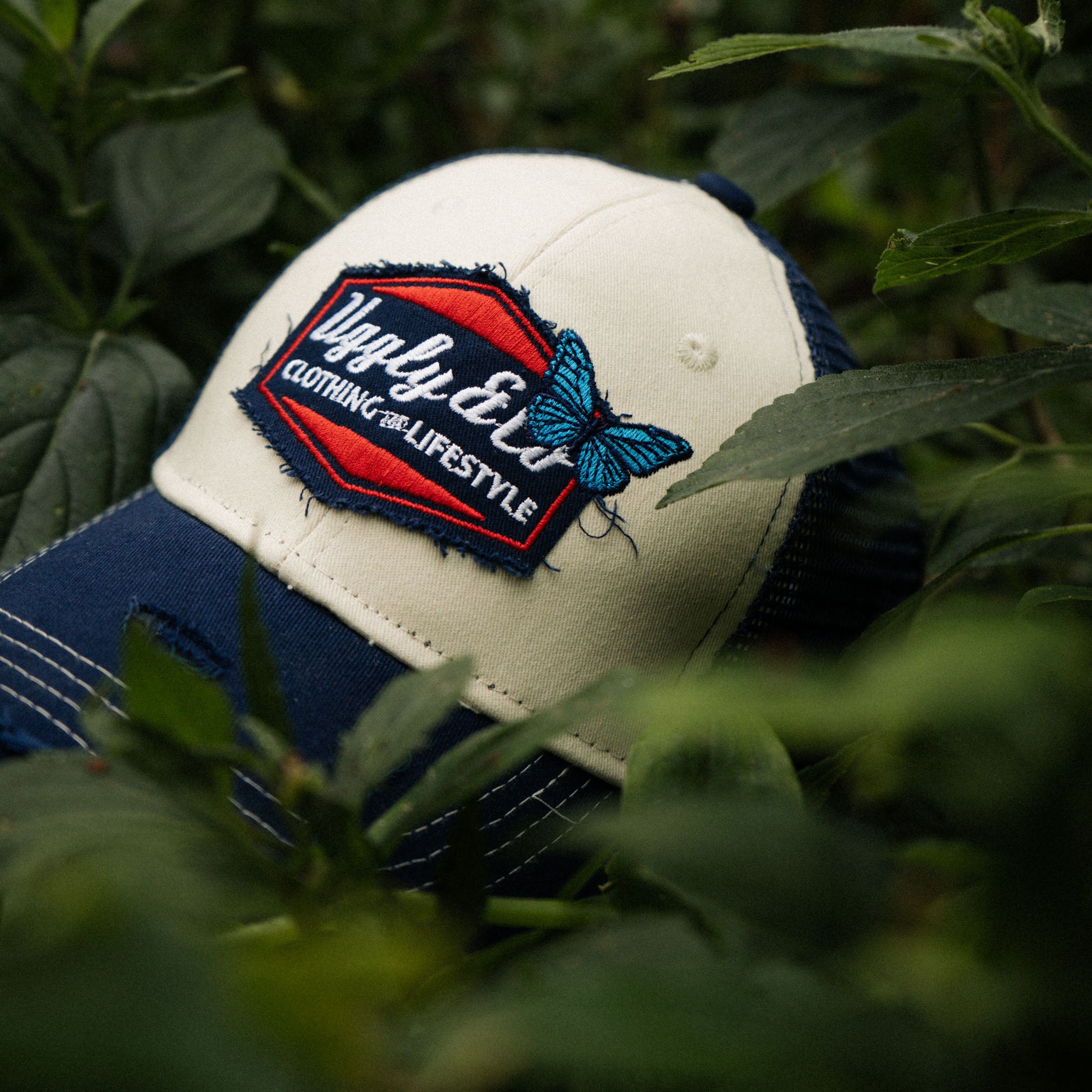 Close up of hat in forest with butterfly
